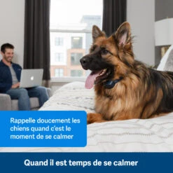 PetSafe ANTI ABOIEMENT SONORE RECHARGEABLE -Équipement De Chasse Boutique anti aboiement sonore rechargeable 2