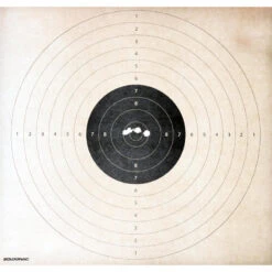 BALLE SANS PLOMB SPEED CALIBRE 12 X 5 -Équipement De Chasse Boutique balle sans plomb speed calibre 12 x 5 6