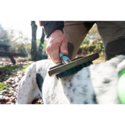 No Brand BROSSE DE MASSAGE POUR CHIEN 9 No Brand BROSSE DE MASSAGE POUR CHIEN -Équipement De Chasse Boutique brosse de massage pour chien 3