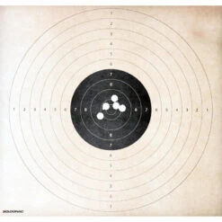 Cartouche Balle Slug 28gr CAL12/67 X10 -Équipement De Chasse Boutique cartouche balle slug 28gr cal1267 x10 6