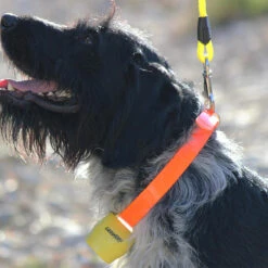 Cloche ALP Jaune -Équipement De Chasse Boutique cloche alp jaune 2