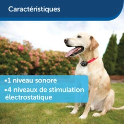 Clôture Anti-fugue Invisible Pour Chien Petsafe 20 Clôture Anti-fugue Invisible Pour Chien Petsafe -Équipement De Chasse Boutique cloture anti fugue invisible pour chien petsafe 8