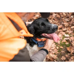 Collier Anti-aboiement Pour Chien Num'axes Canicalm Premium 7 Collier Anti-aboiement Pour Chien Num'axes Canicalm Premium -Équipement De Chasse Boutique collier anti aboiement pour chien numaxes canicalm premium 2