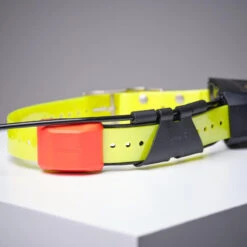 Collier Supplémentaire De Repérage Pour Chien Garmin T5X -Équipement De Chasse Boutique collier supplementaire de reperage pour chien garmin t5x 6
