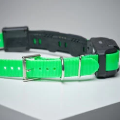 Collier Supplémentaire Repérage Et Dressage Pour Chien Dogtra Pathfinder -Équipement De Chasse Boutique collier supplementaire reperage et dressage pour chien dogtra pathfinder 2