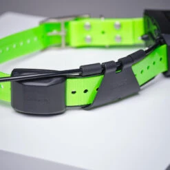 Collier Supplémentaire Repérage Et Dressage Pour Chien Garmin TT15X -Équipement De Chasse Boutique collier supplementaire reperage et dressage pour chien garmin tt15x 5