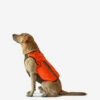 Gilet De Protection Pour Chien Supertrack -Équipement De Chasse Boutique gilet de protection pour chien supertrack