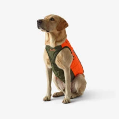 Gilet De Protection Pour Chien Supertrack -Équipement De Chasse Boutique gilet de protection pour chien supertrack 3