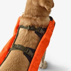 Gilet De Protection Pour Chien Supertrack -Équipement De Chasse Boutique gilet de protection pour chien supertrack 4