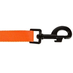 Laisse Chien Orange 100 -Équipement De Chasse Boutique laisse chien orange 100 5