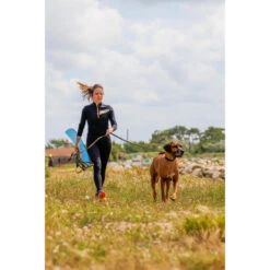 Longe Pour Chien 10 Mètres 100 Verte -Équipement De Chasse Boutique longe pour chien 10 metres 100 verte 1