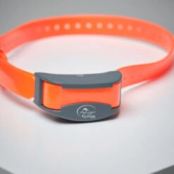 Pack Collier + Télécommande De Dressage Pour Chien Sportdog SD-875 -Équipement De Chasse Boutique pack collier telecommande de dressage pour chien sportdog sd 875 3