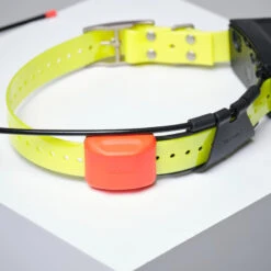 PACK COLLIER + TÉLÉCOMMANDE DE REPÉRAGE/DRESSAGE CHIEN GARMIN ALPHA 200 T5X -Équipement De Chasse Boutique pack collier telecommande de reperagedressage chien garmin alpha 200 t5x 7